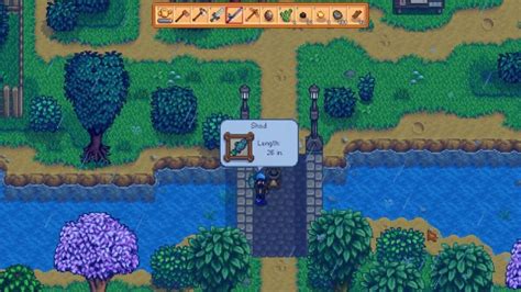 stardew valley sabalo